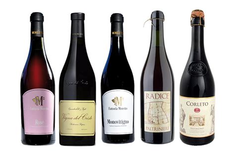 lambruscoz photos|what is the best lambrusco.